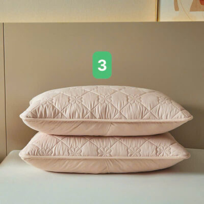 SET 2 VỎ GỐI CHỐNG THẤM 090701