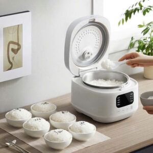 NỒI CƠM ĐIỆN BEAR 010101