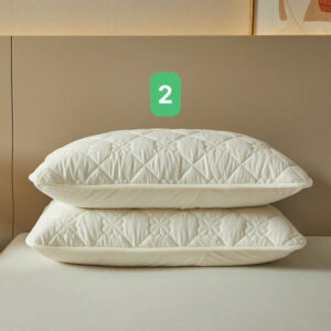 SET 2 VỎ GỐI CHỐNG THẤM 061227